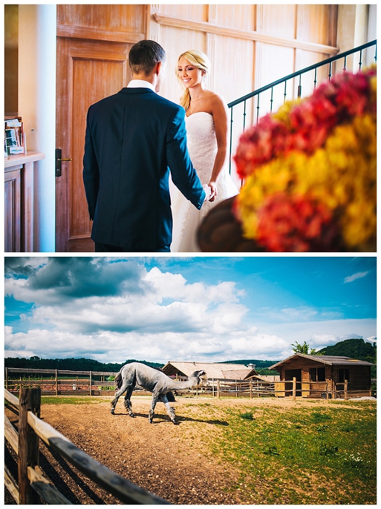 hochzeitsfotograf vaihingen enz