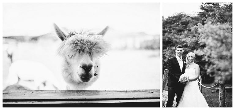 fotograf hochzeit sonnenhof