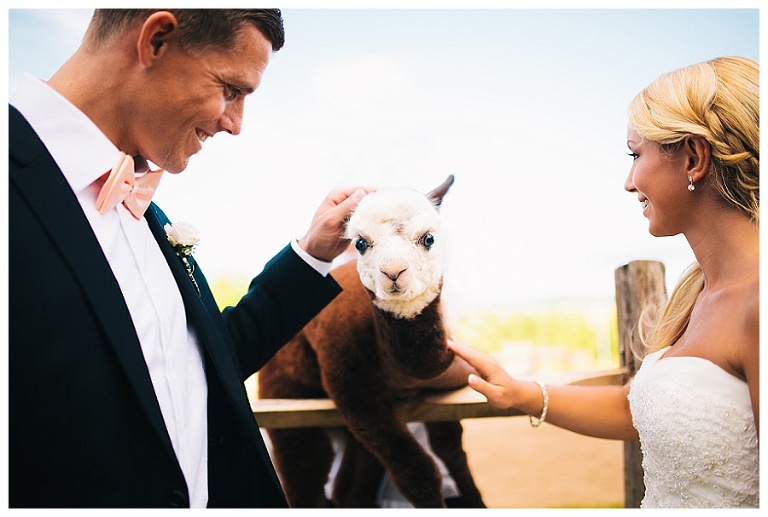 hochzeitsreportage sonnenhof