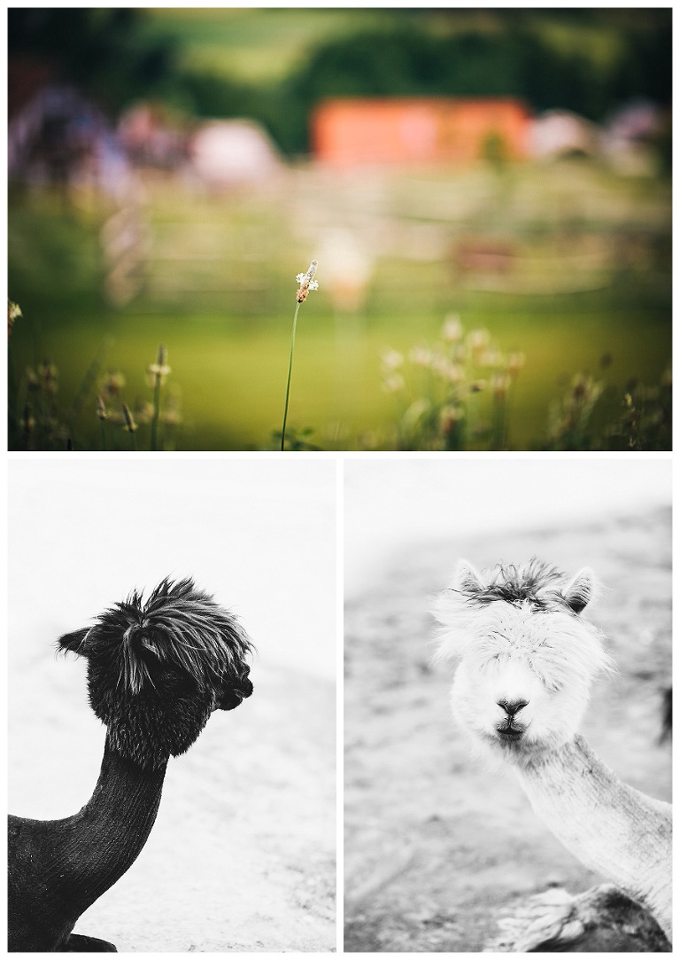 fotograf ludwigsburg