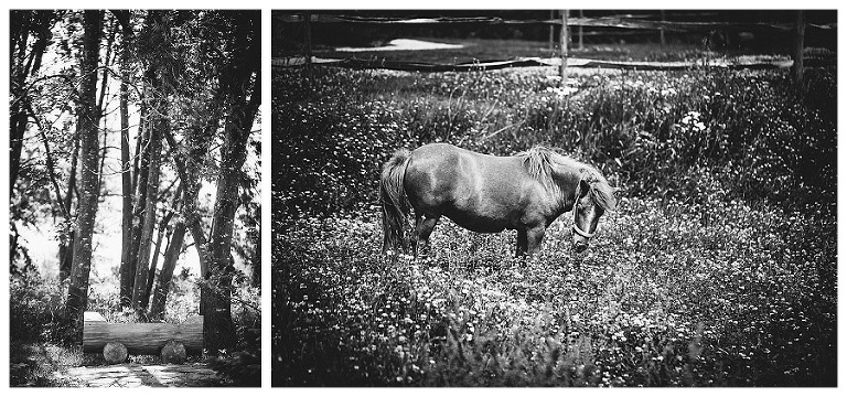 fotograf ludwigsburg