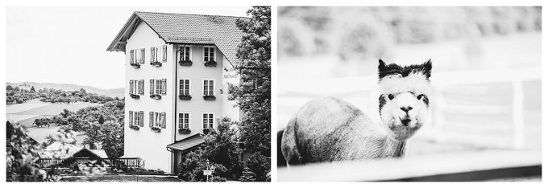 hochzeitsfotograf sonnenhof