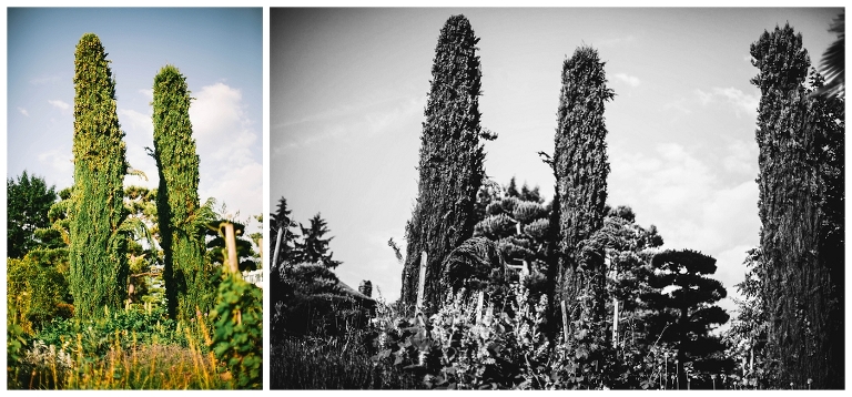 blüba heiraten in ludwigsburg